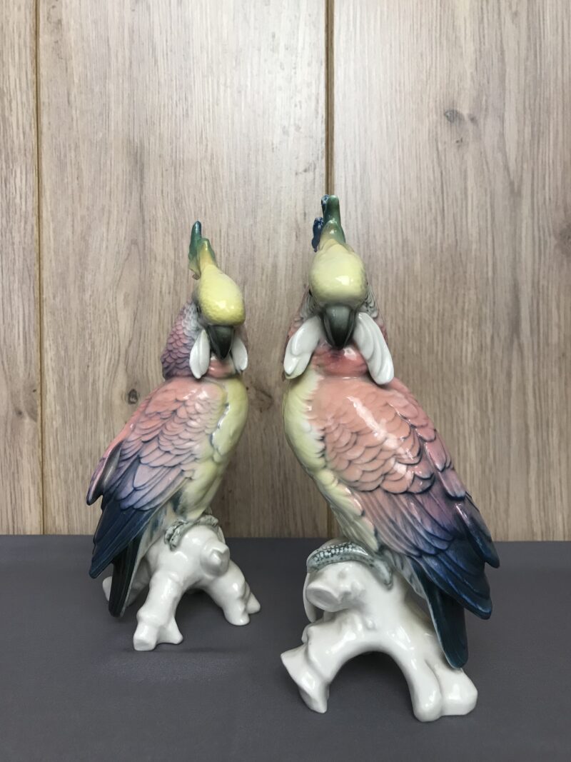 couple de cacatoès Karl Ens porcelaine (14)