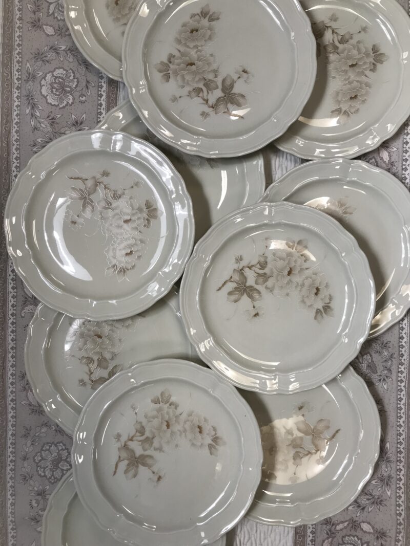 service de 11 assiettes en porcelaine de Limoges dessins fleurs de cerisier de couleur beige